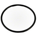 Pentair Bulkhead O-ring 59000600