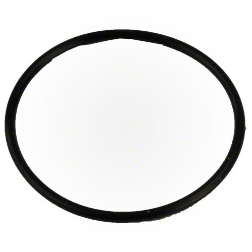 Pentair Bulkhead O-ring 59000600